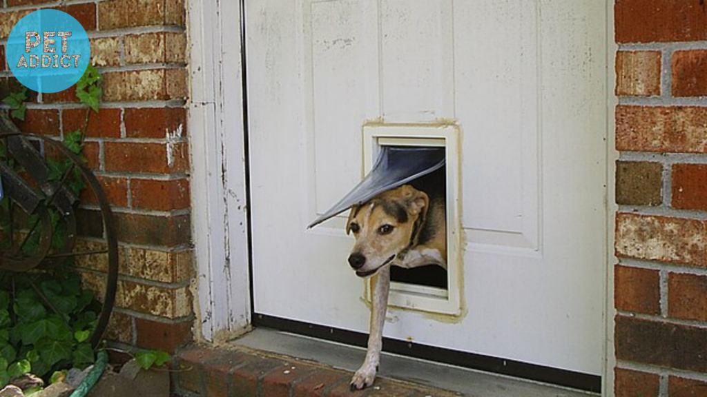 Maintenance and Care dog door