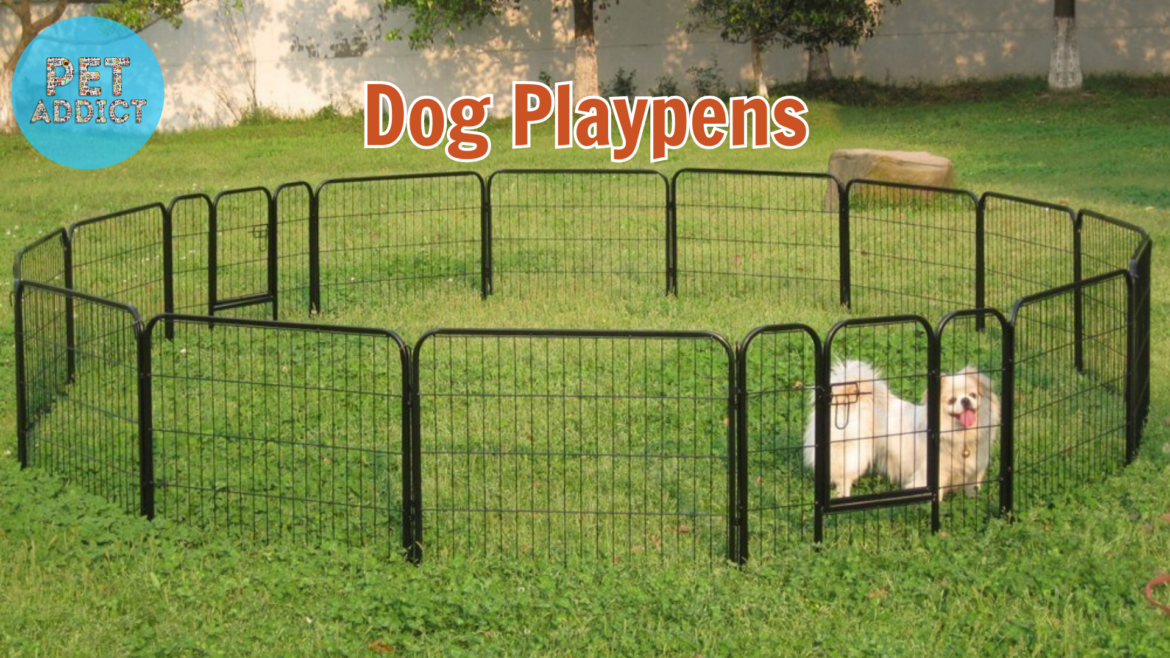 Dog Playpens: Safety and Freedom for Your Canine Companion