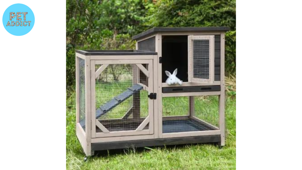 Indoor vs. Outdoor Rabbit Cages