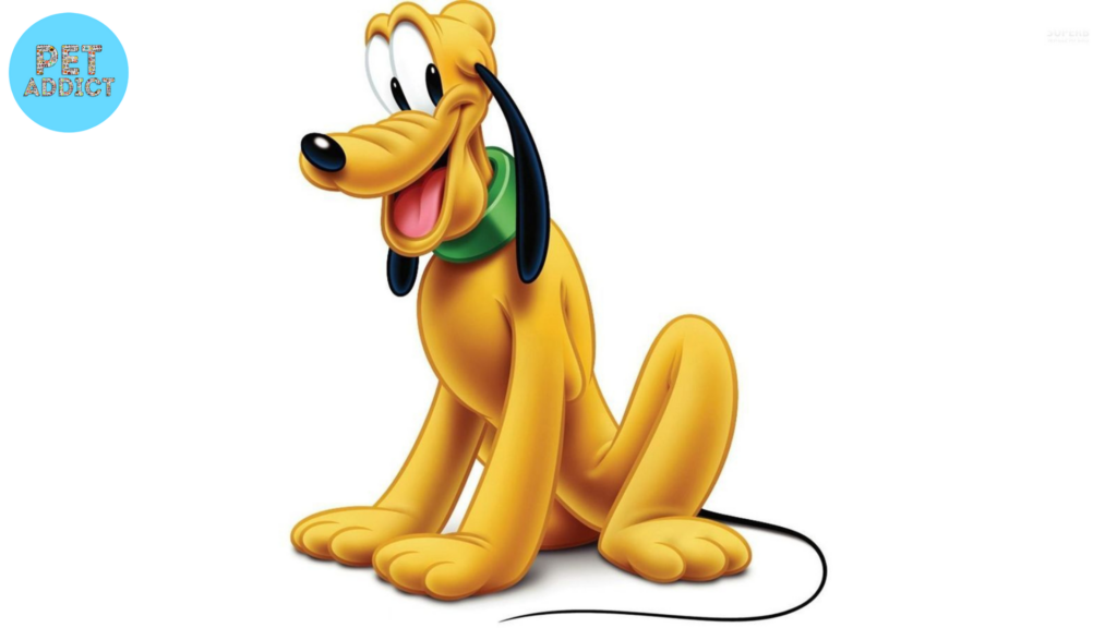 Pluto dog cartoon 