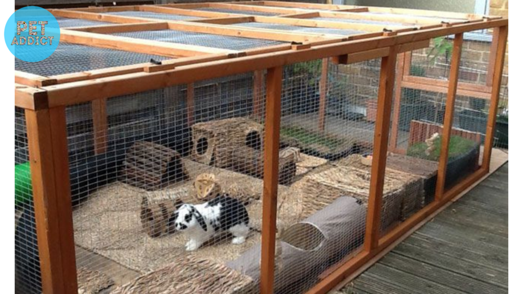 Types of Rabbit Cages
