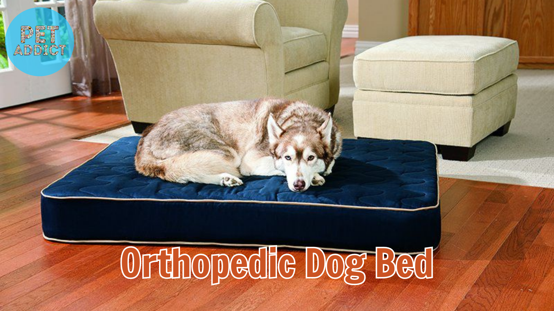 Orthopedic Dog Bed: A Comfortable Resting Place for Your Dog
