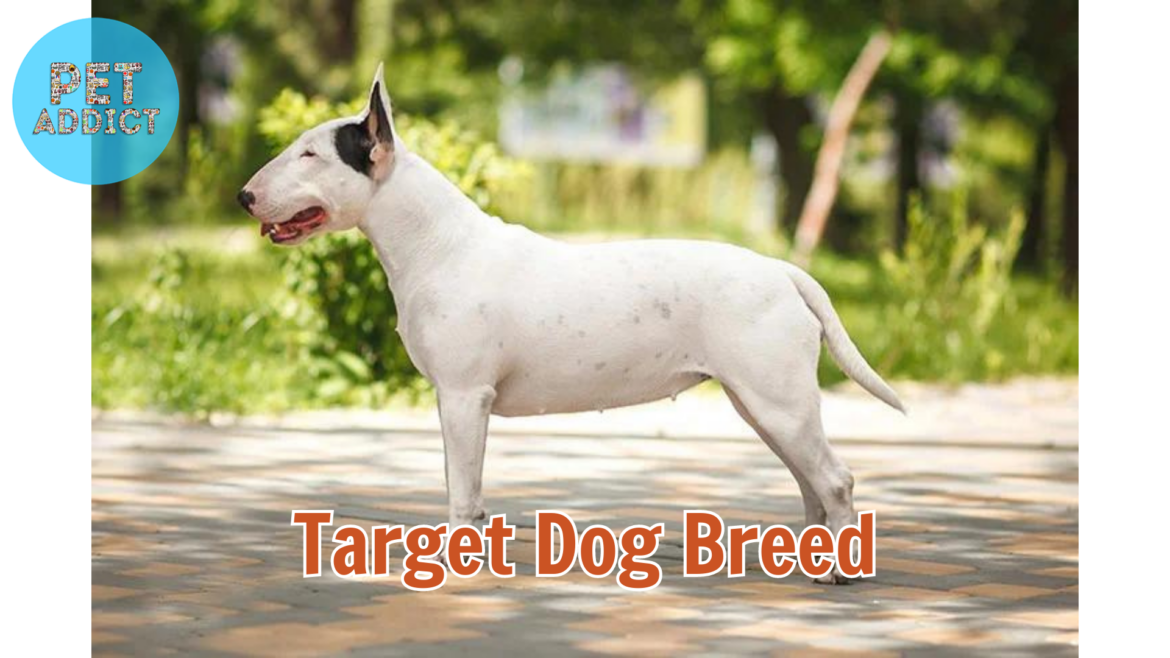 Target Dog Breed