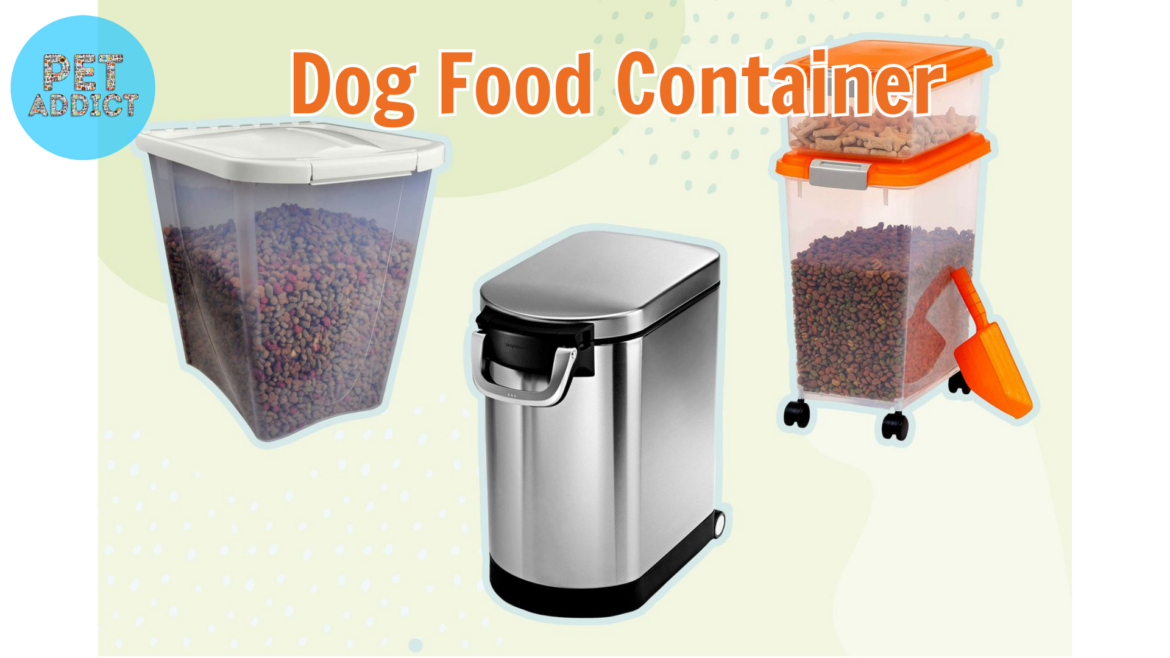 Dog Food Container – Guide to Storing Your Pet’s Food
