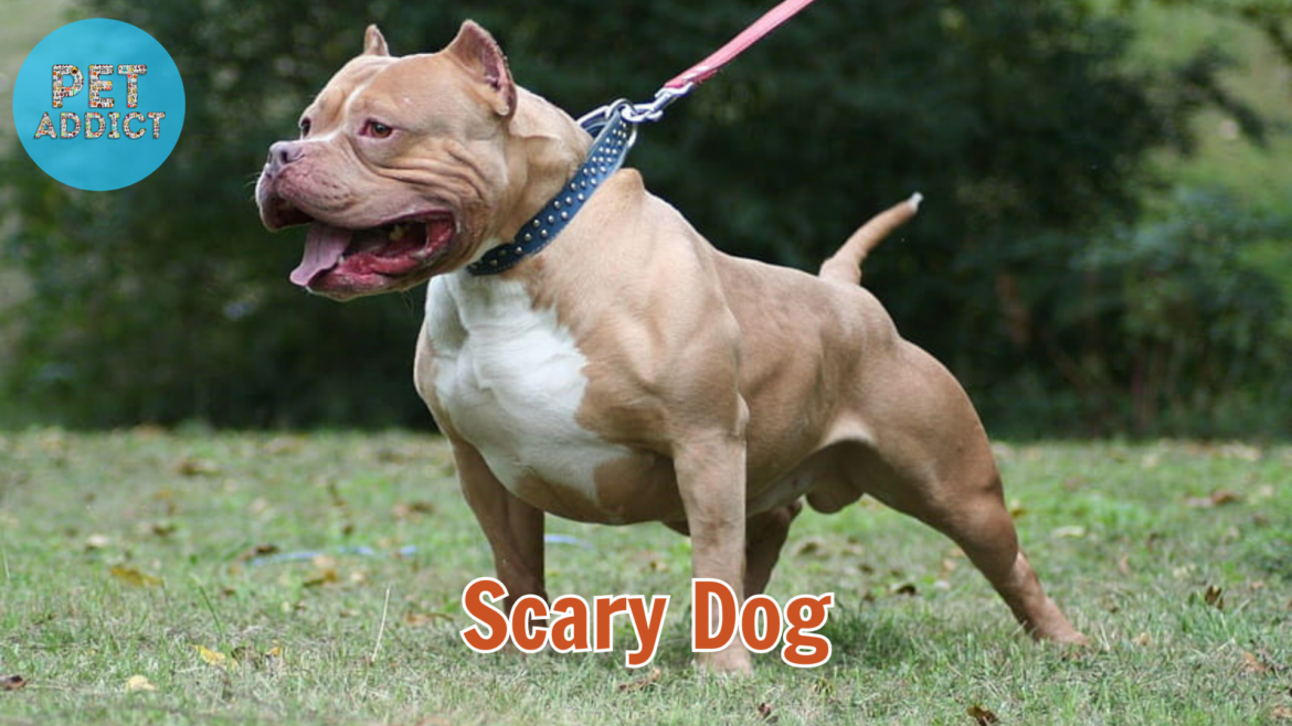 Scary Dog Breeds: Unveiling the Fiercest Guardians