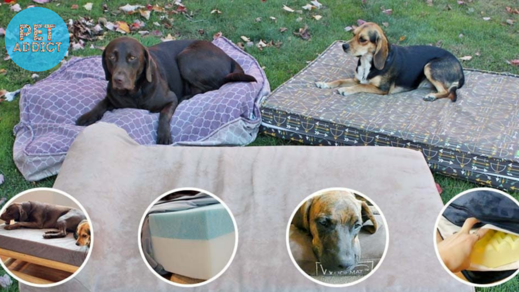 Factors to Consider When Buying an Indestructible Dog Bed