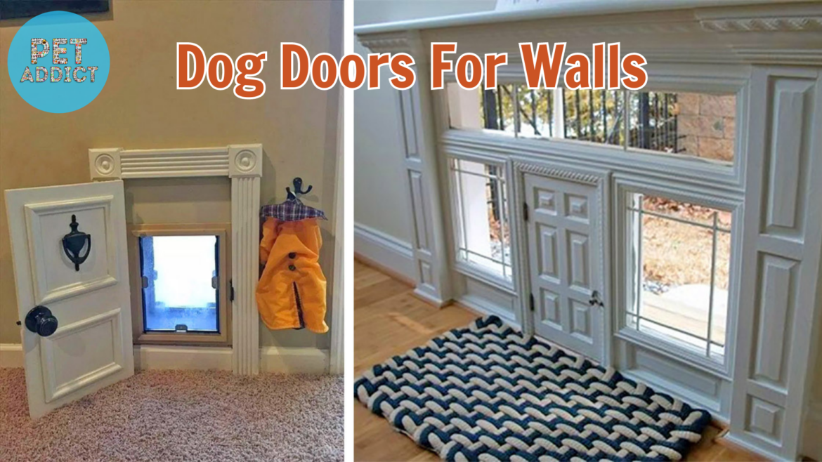 Dog Doors for Walls: Choosing, Installing, and Using Dog Doors