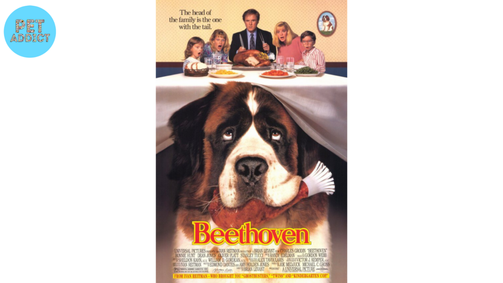 Beethoven dog movies (1992)