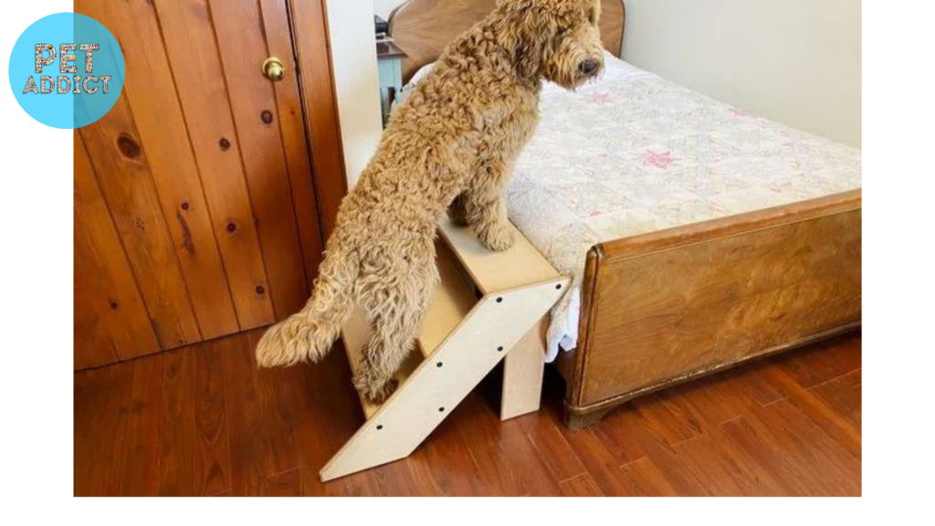 Benefits of Dog Stairs