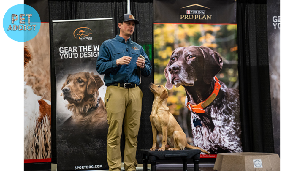 Bird Dog Competitions and Events