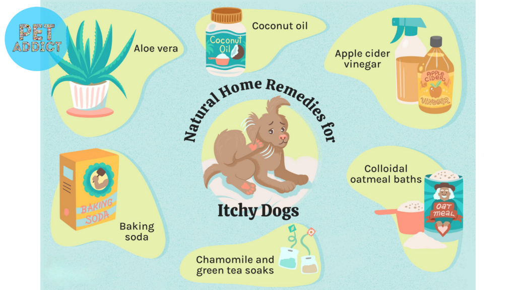 Home Remedies for Dog Dry Skin