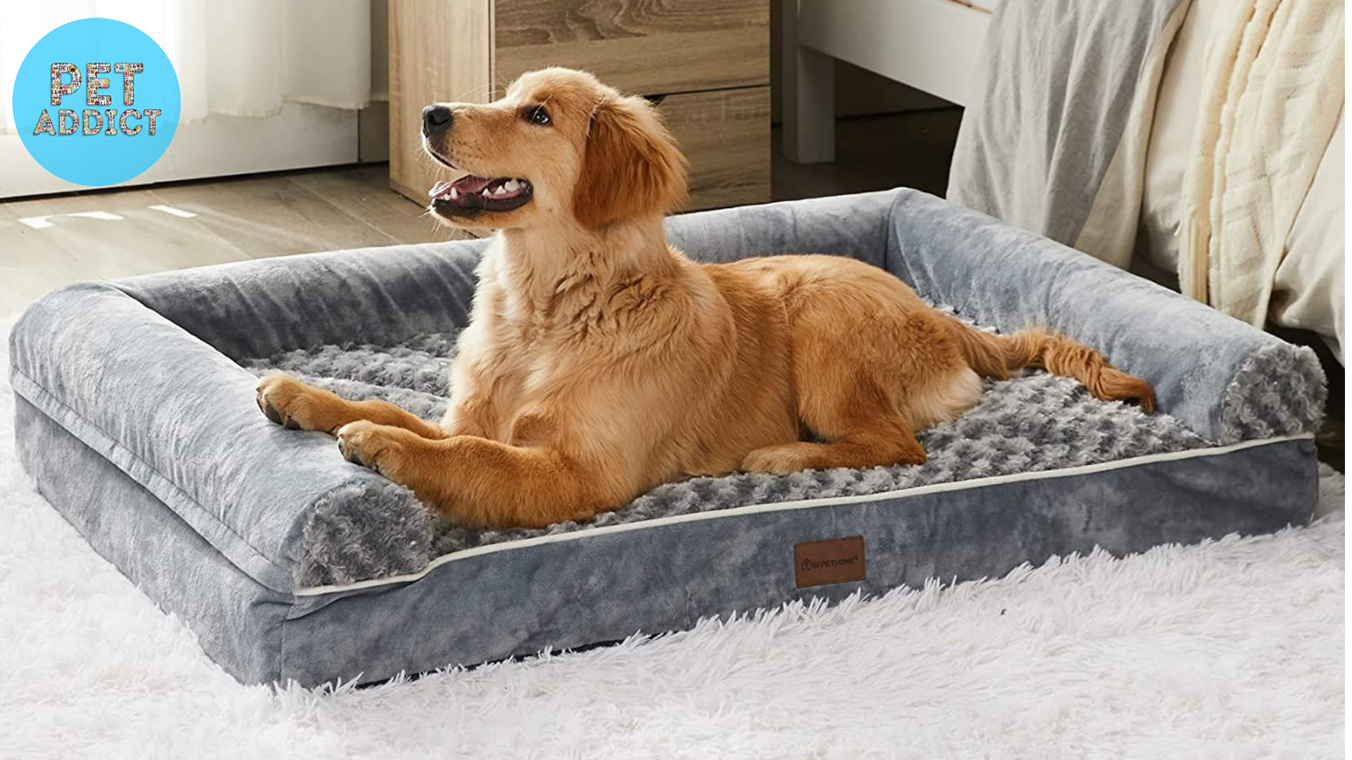 orthopedic dog bed Key Features of Orthopedic Dog Beds