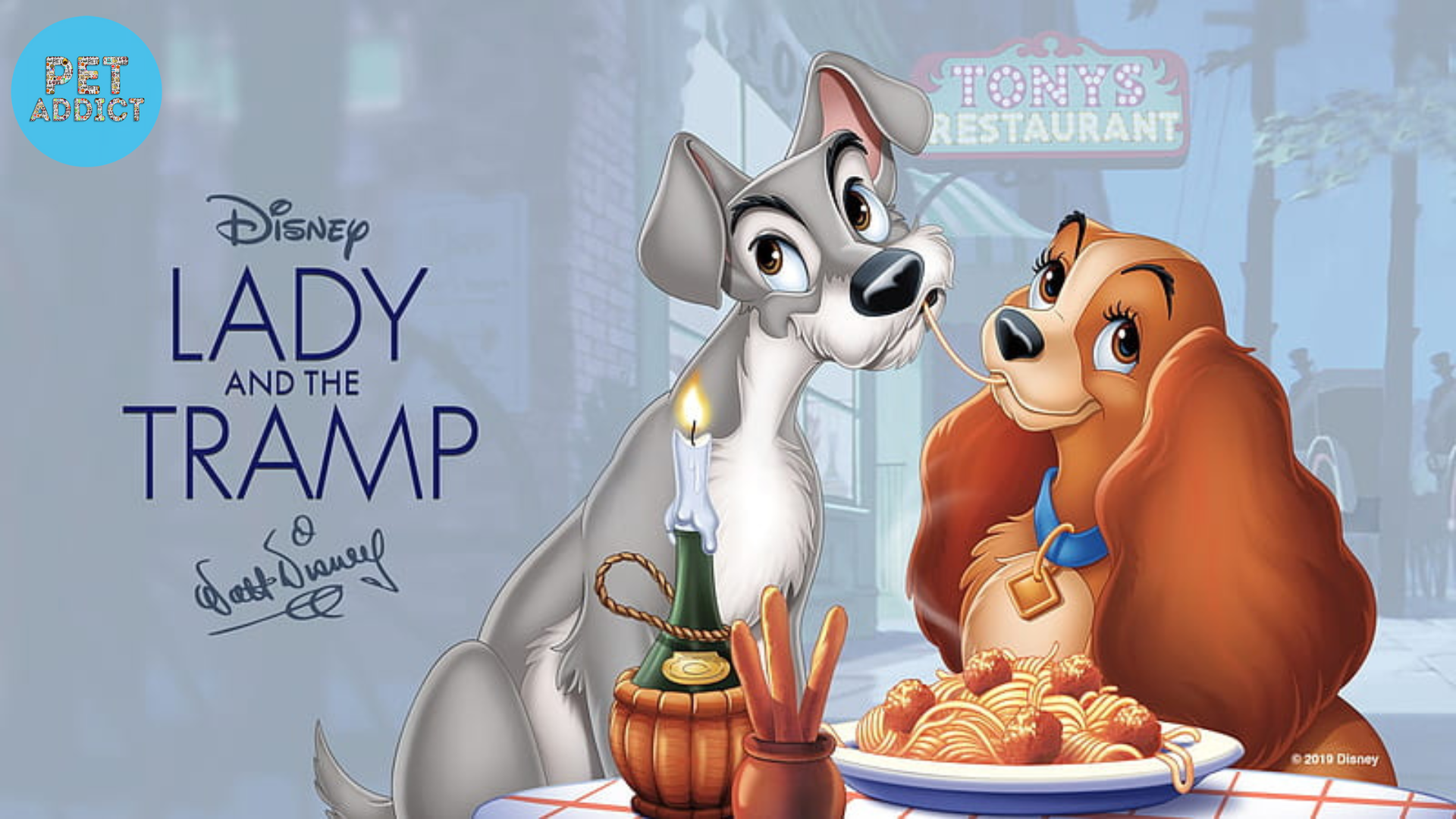 Lady and the Tramp (1955)