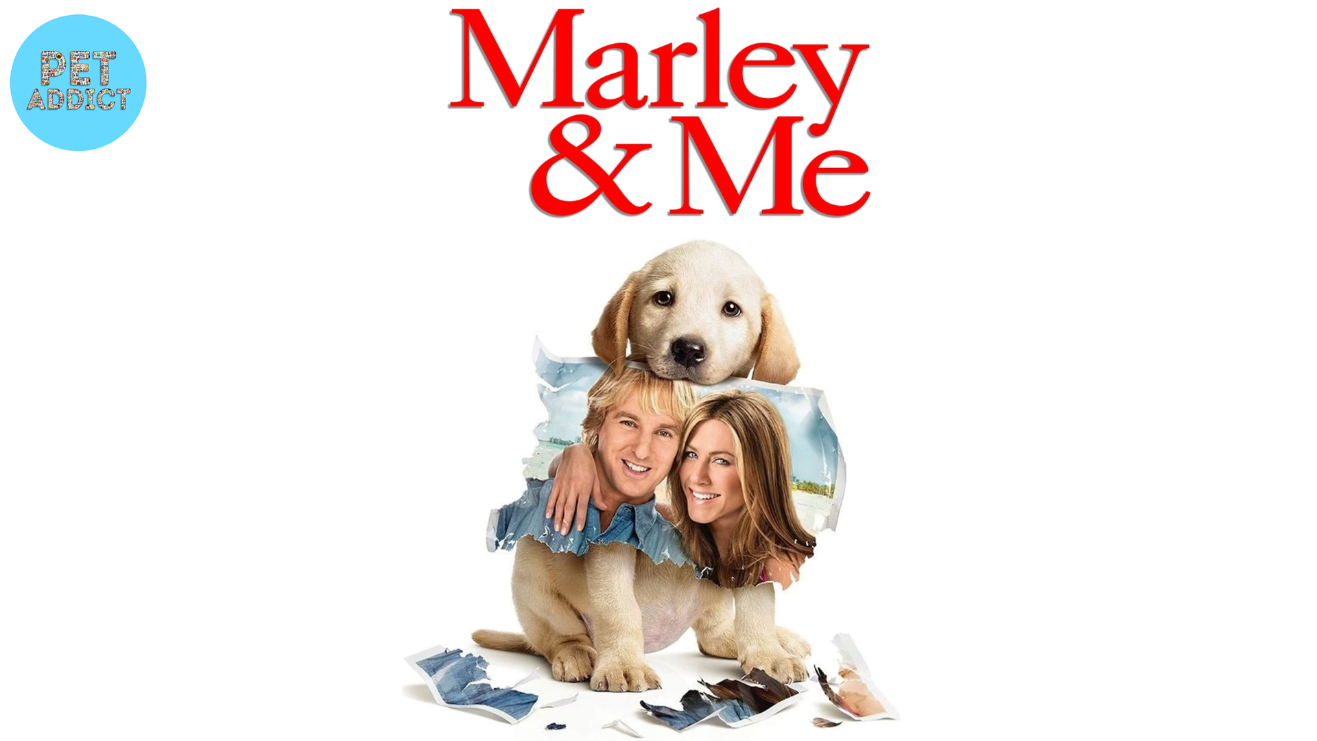 Marley & Me dog movies (2008)