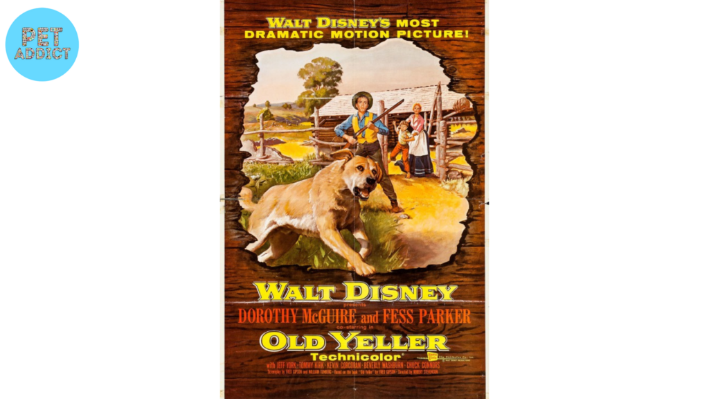 Old Yeller dog movies (1957)