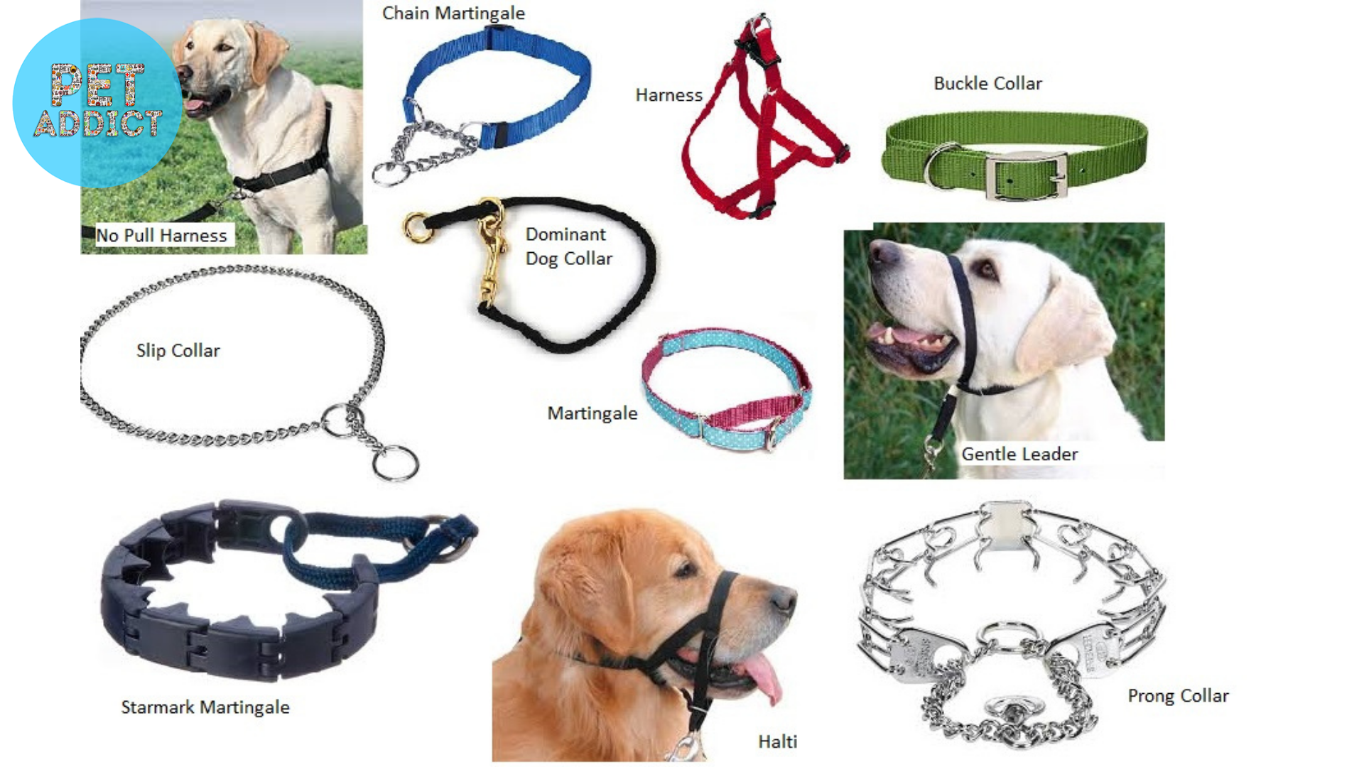 Understanding the Purpose of Each Dog Collar Type