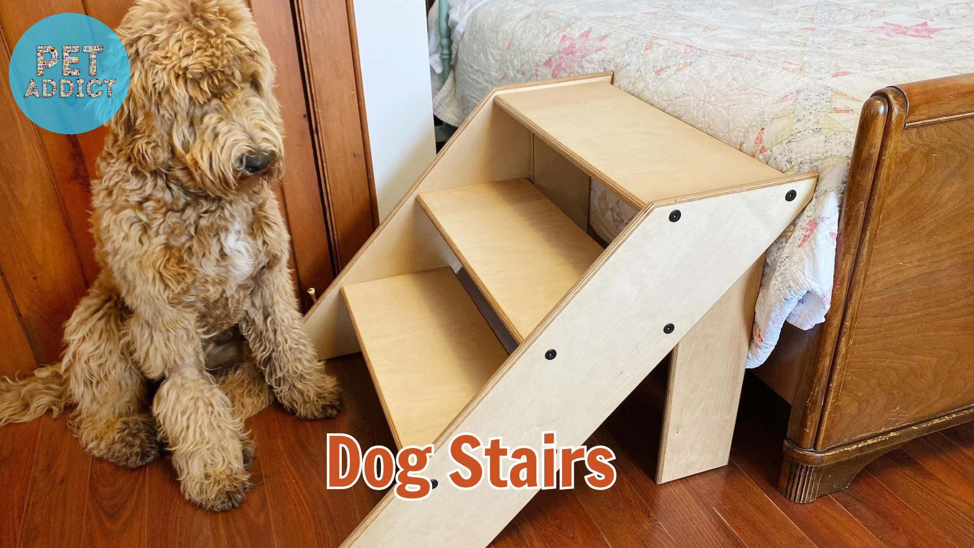 Dog Stairs: A Guide to Choosing and Using Them
