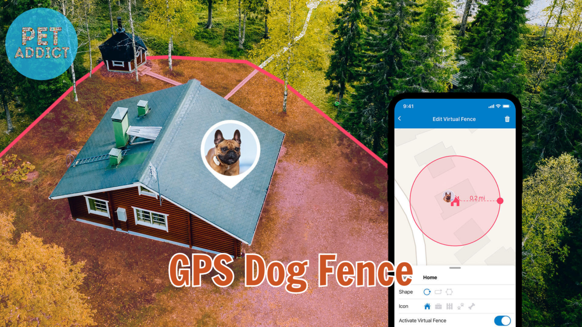 GPS Dog Fence: Providing Freedom and Security for Your Dog