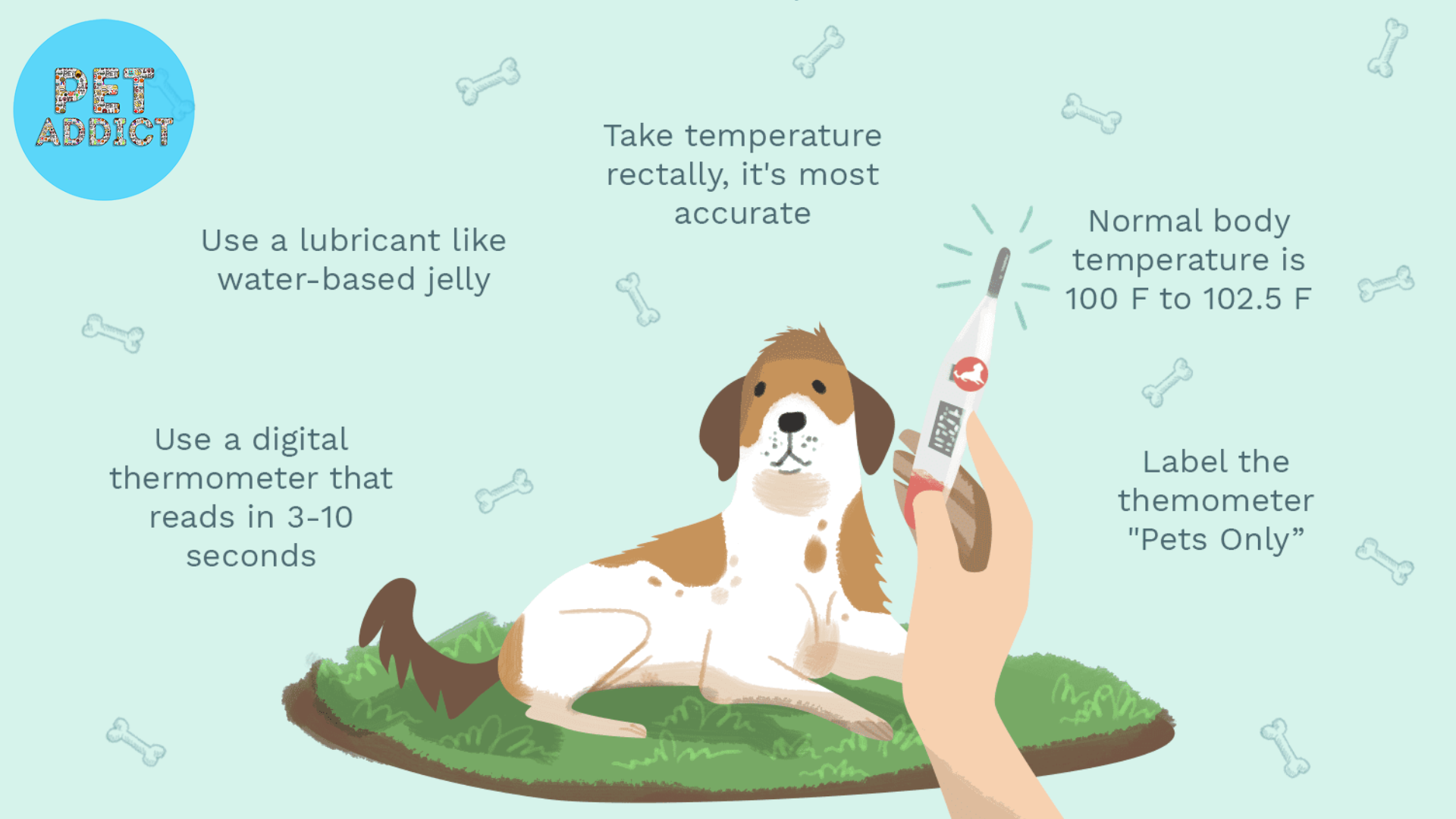 normal dog temperature