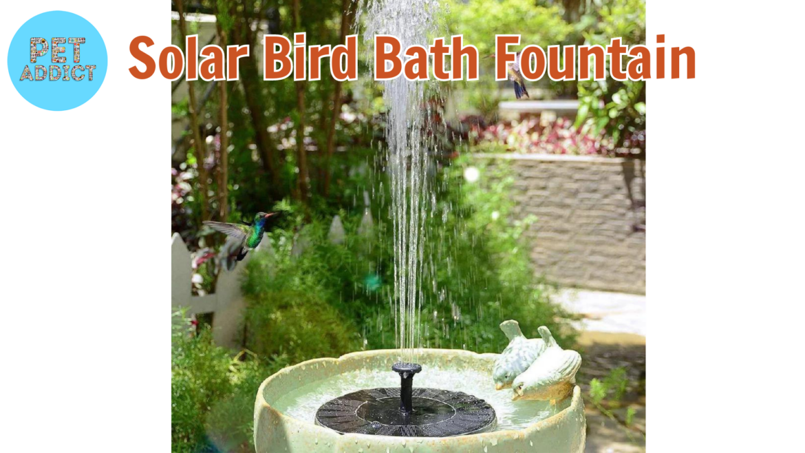 Solar Bird Bath Fountain Delights: Enhancing Your Outdoor Oasis