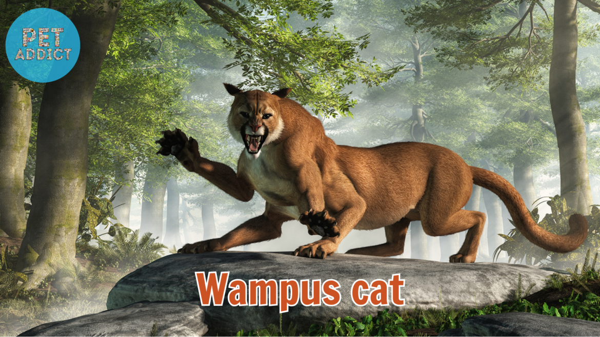 Mystery of the Wampus Cat: A Legendary Creature of Folklore