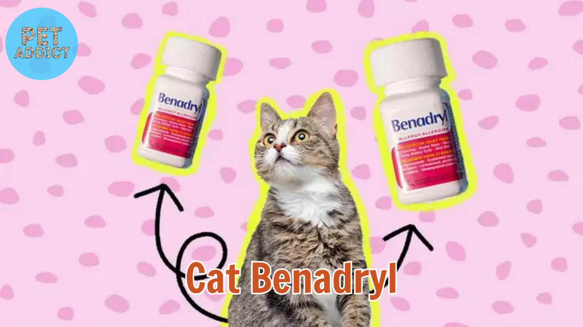 Cat Benadryl: Understanding Usage, Safety, and Benefits