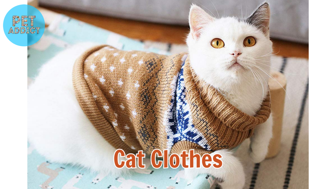 Dressing Up Your Feline Friend: Exploring the World of Cat Clothes