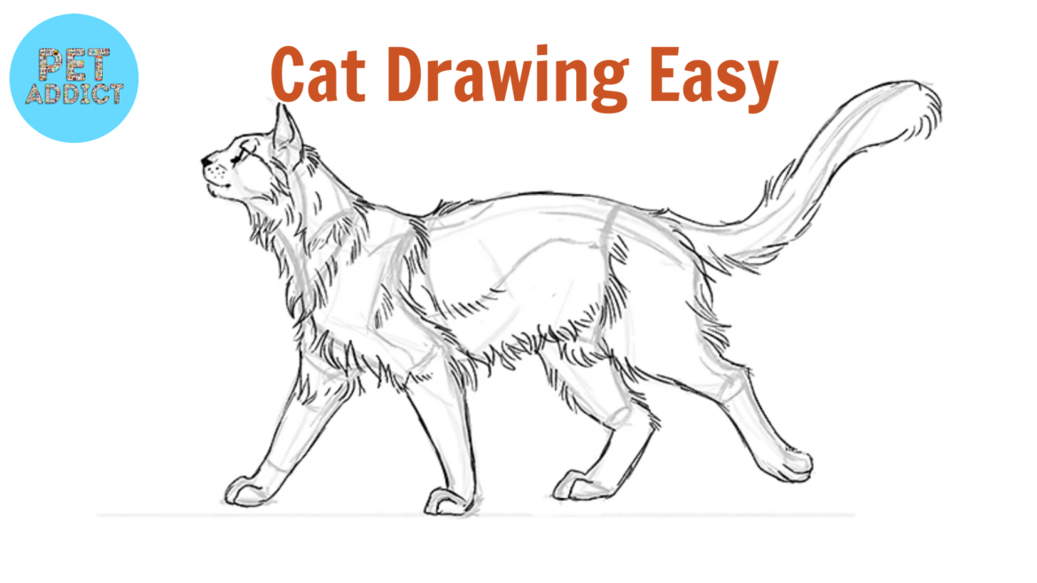 Cat Drawing Easy: A Step-by-Step Guide for Beginners