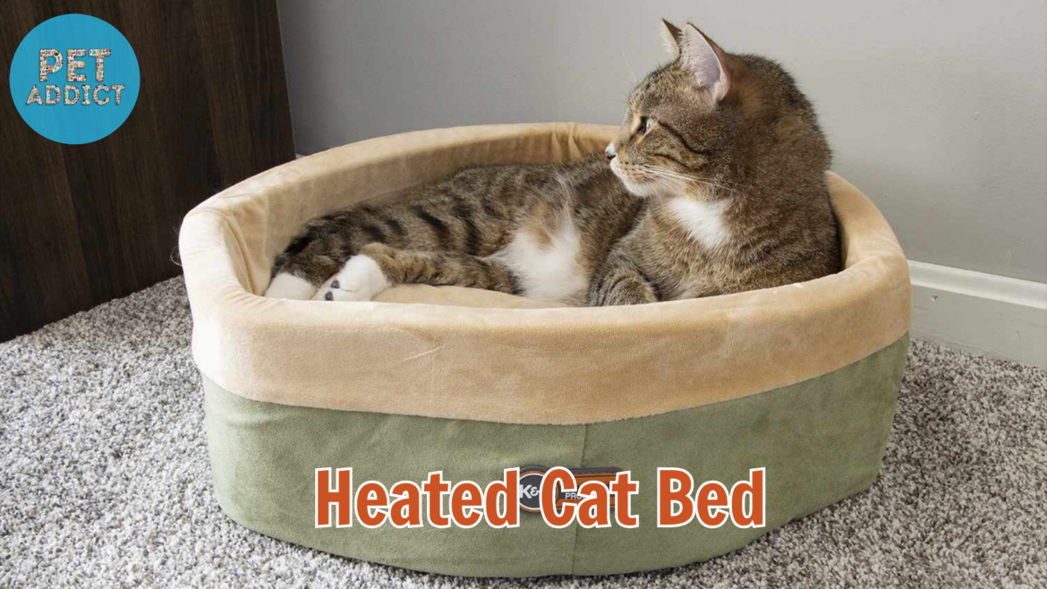 Heated Cat Bed: A Cozy Haven for Feline Comfort