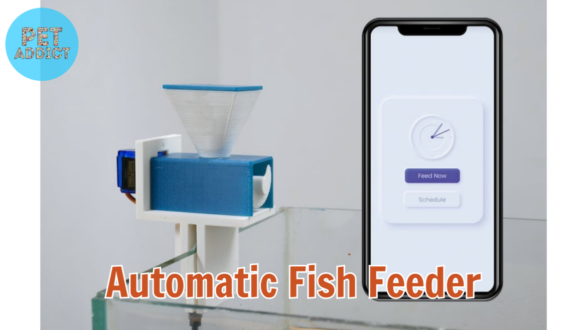 Automatic Fish Feeder: Best thing for Your Aquatic Pets