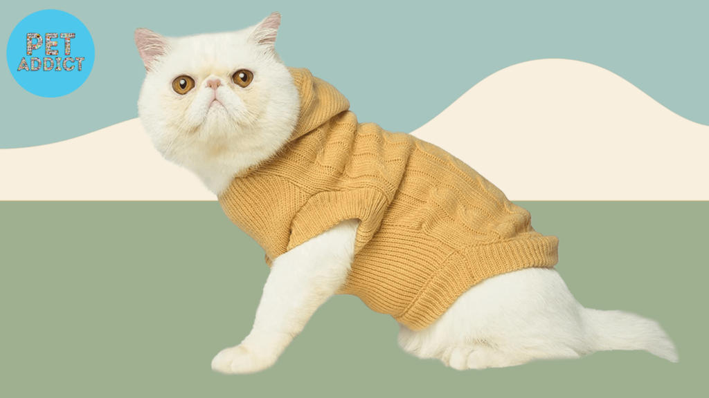 cat clothes
