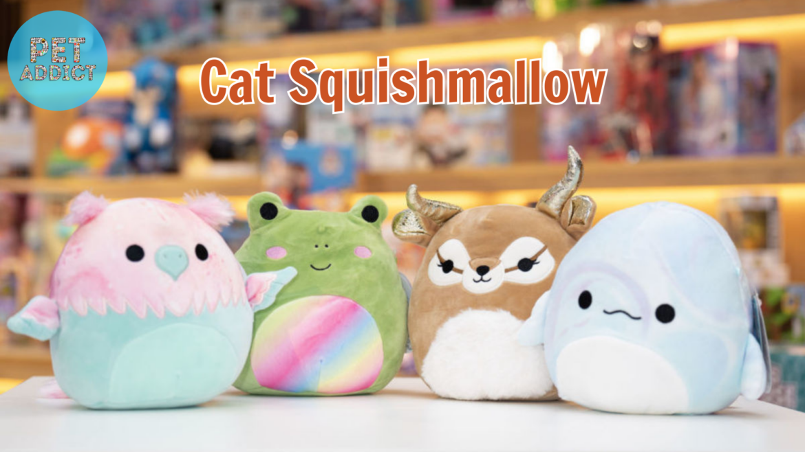 Craft Your Own Adorable Cat Squishmallow