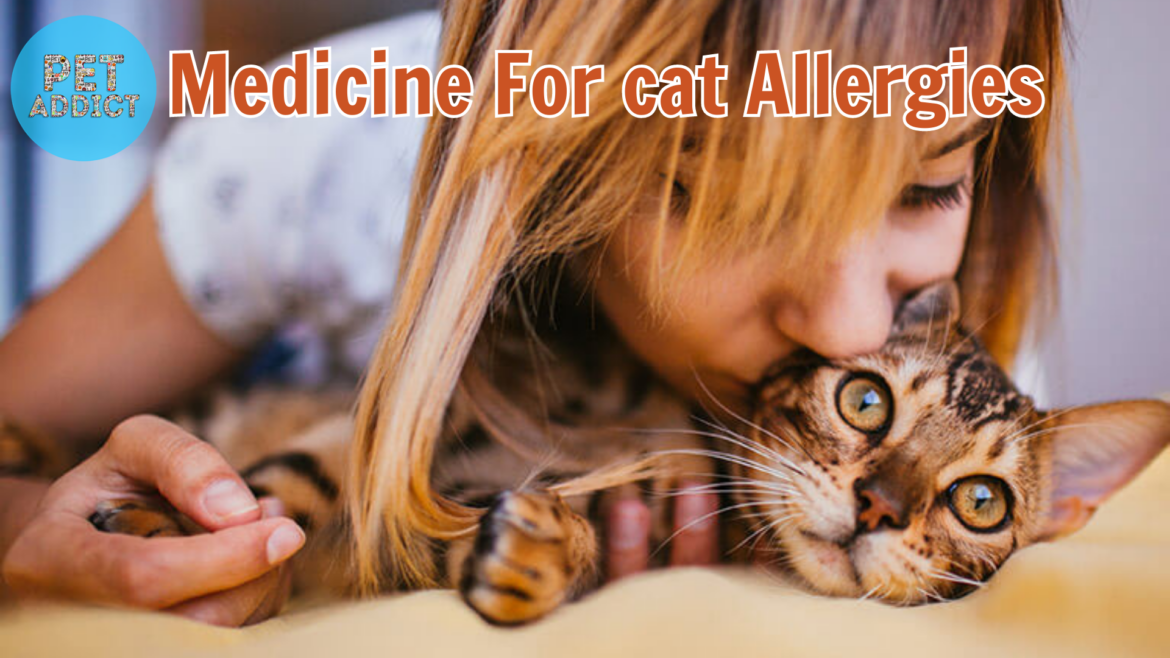 Managing Cat Allergies: Tips and Medications for Relief
