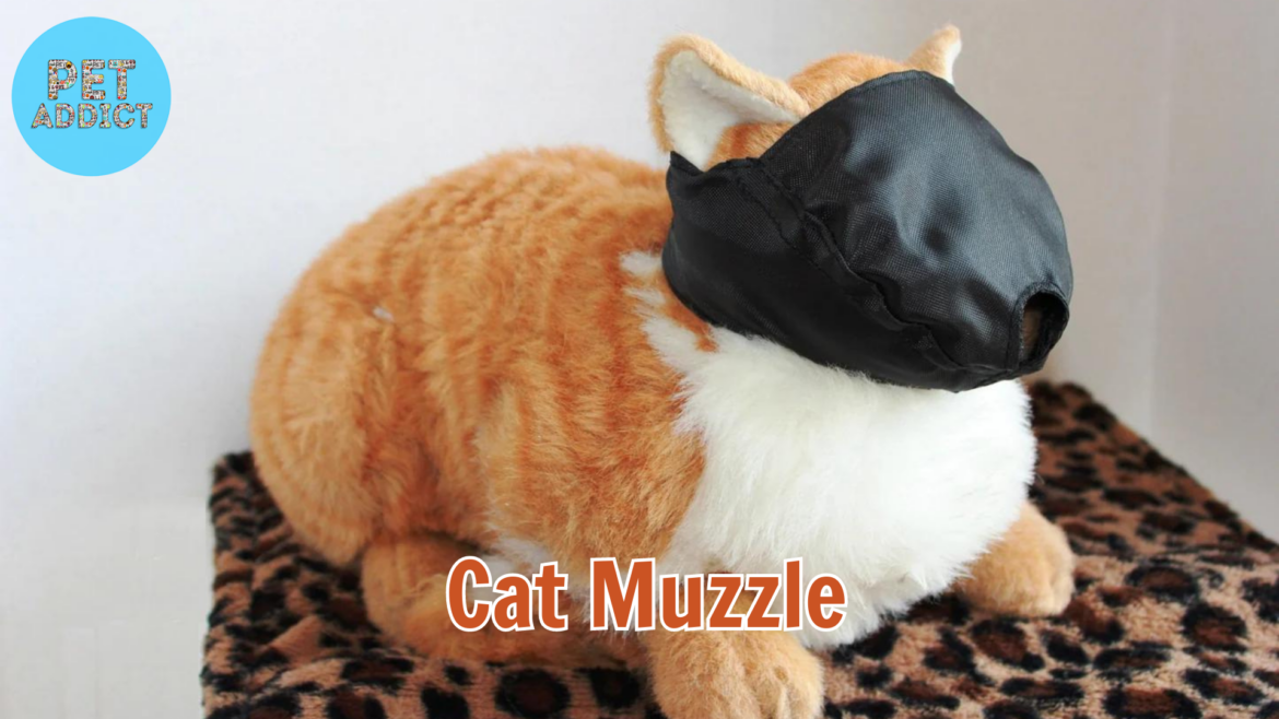 Cat Muzzle: Understanding and Using Them