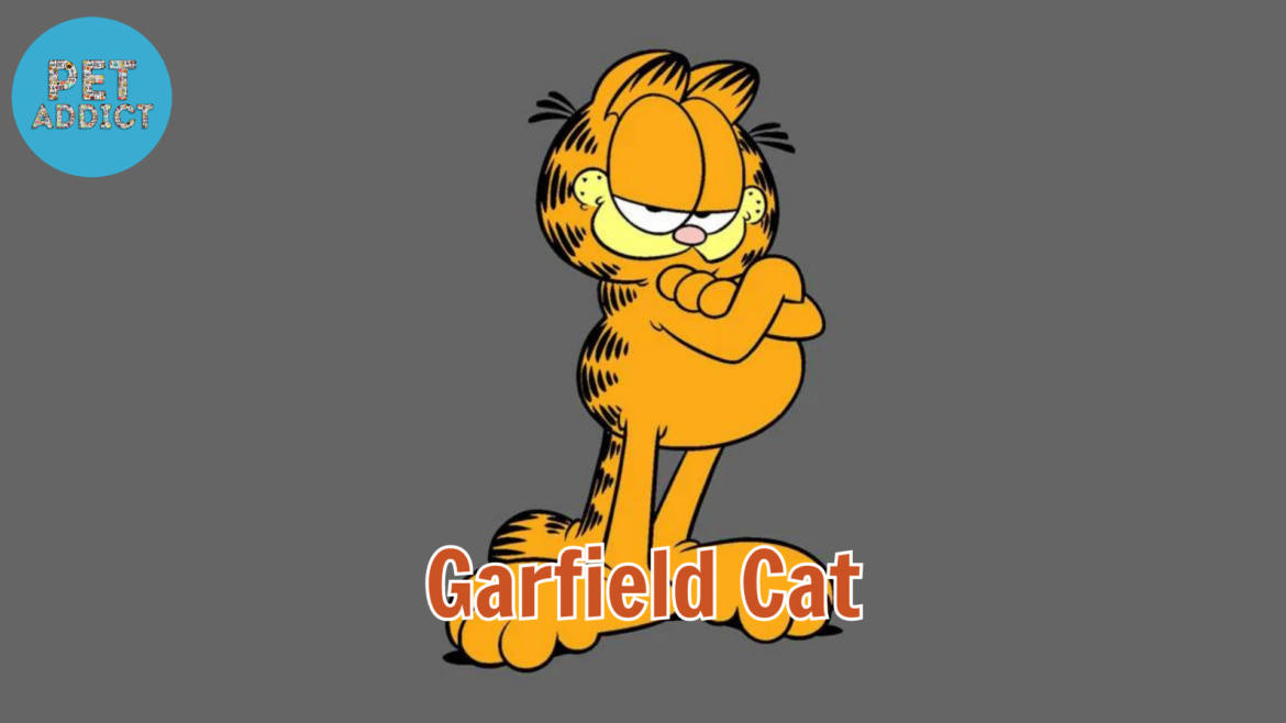 Garfield Cat – Exploring the Legacy of the World’s Most Famous Fat Cat