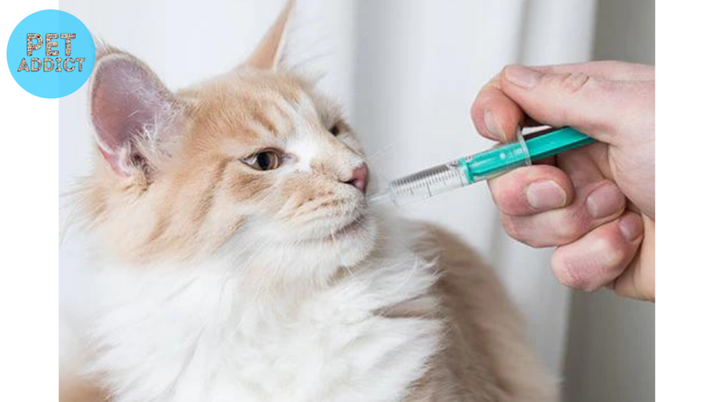 Benefits and Alternatives  cat benadryl