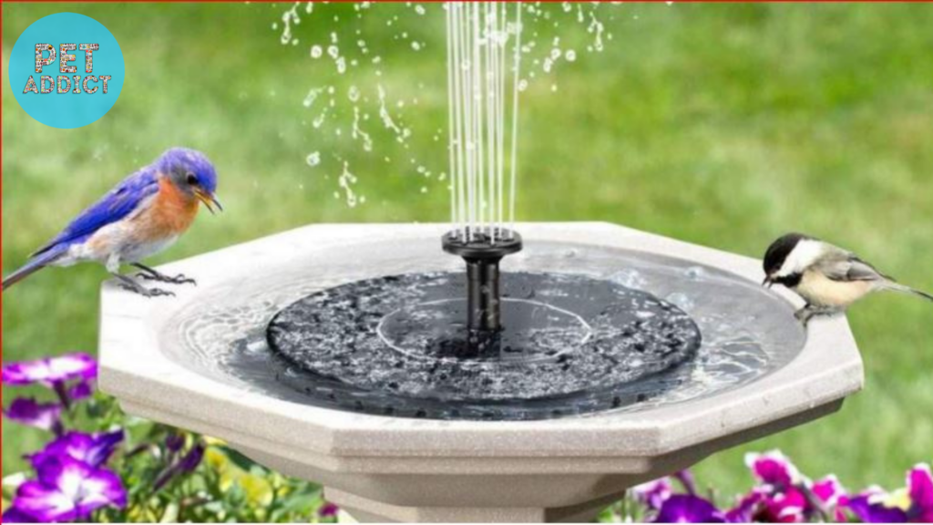 Benefits of a Solar Bird Bath Fountain2