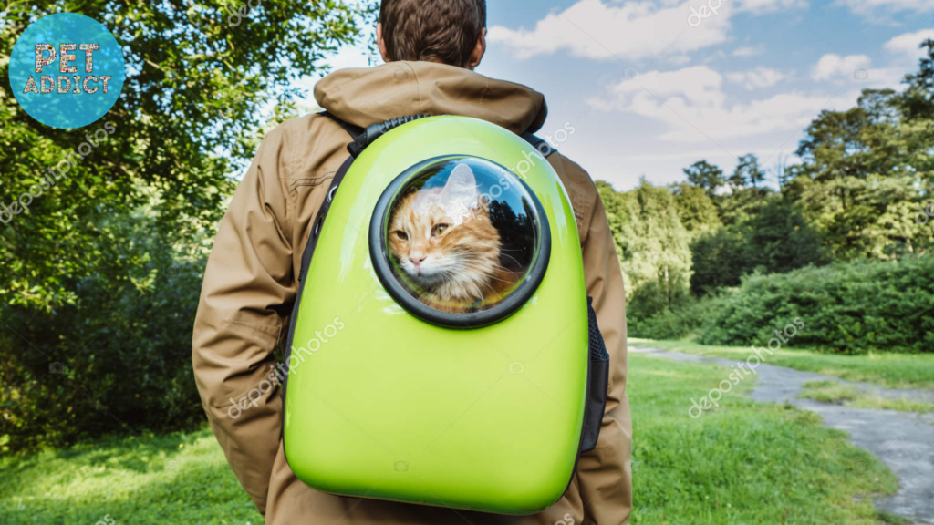 Bubble Window Cat Backpack