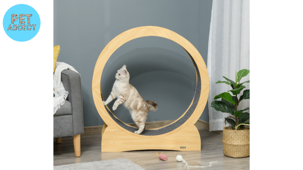 Considerations for Choosing a Cat Wheel