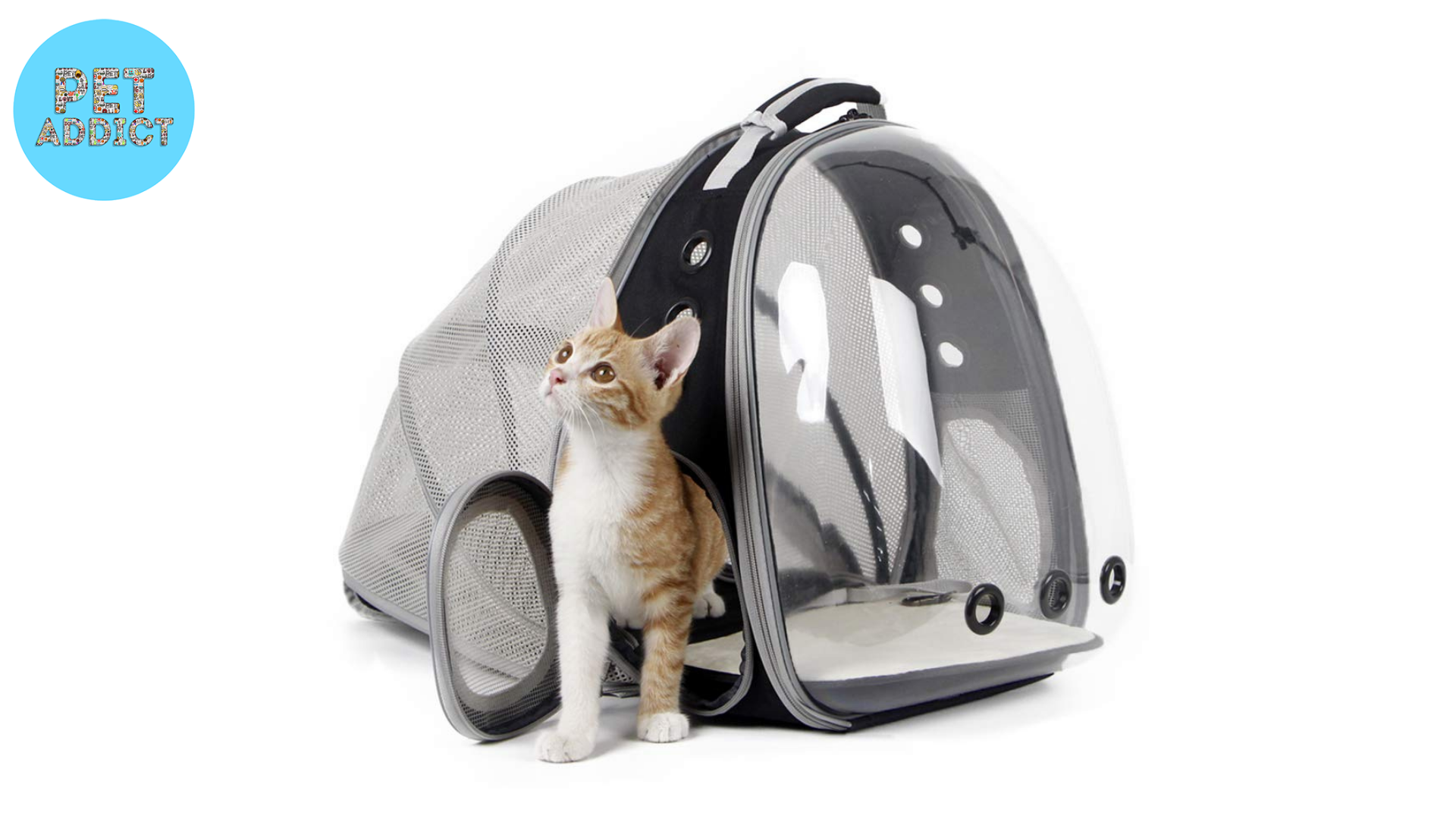Expandable Cat Backpack
