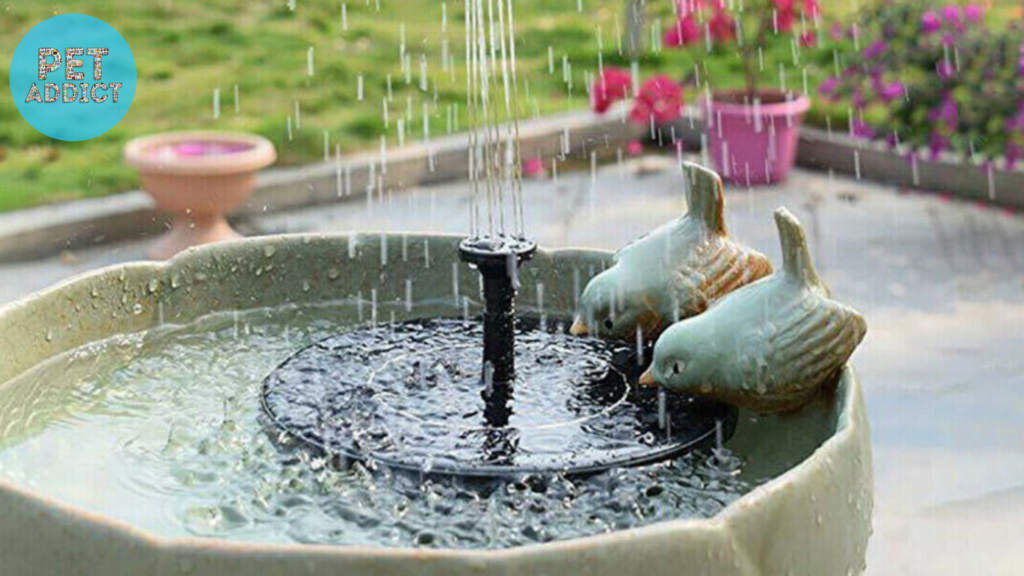 Features of a Solar Bird Bath Fountain