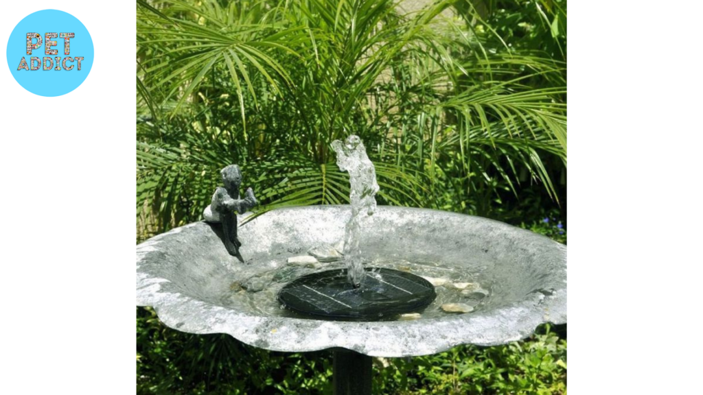 Features of a Solar Bird Bath Fountain2