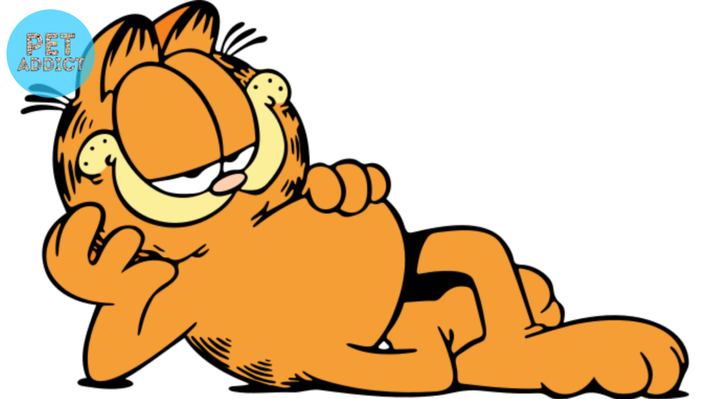 Garfield cartoon cat