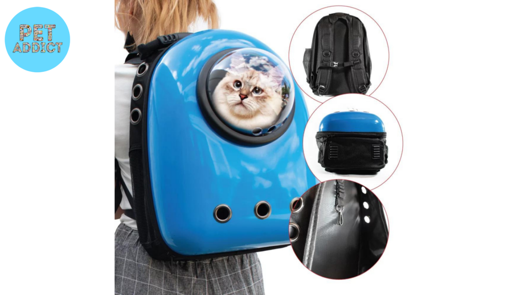 Hard-Sided Cat Backpack