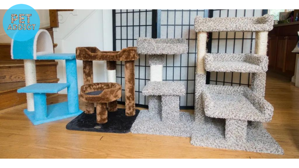 Key Considerations for Choosing the Right Cat Tree