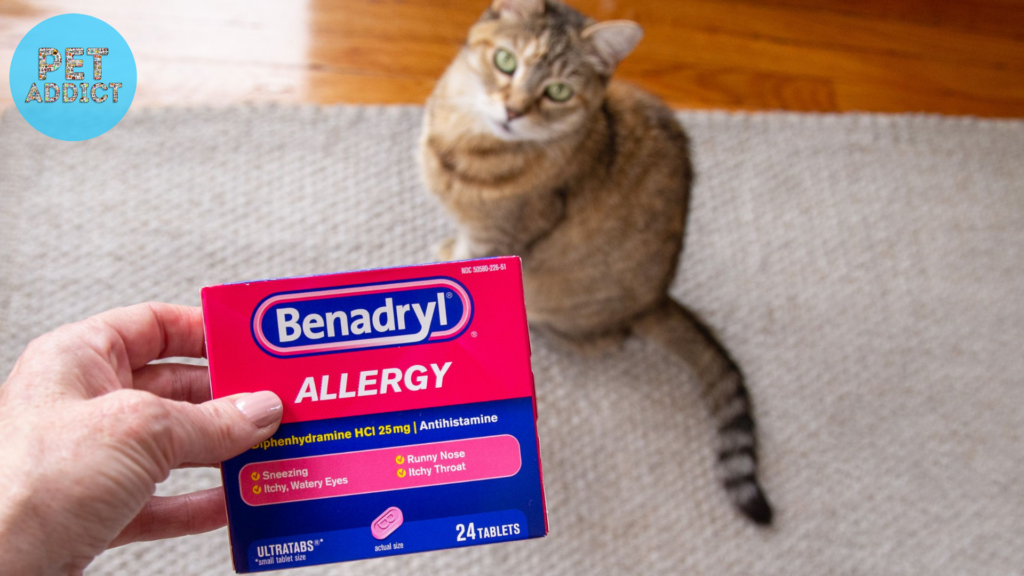 Purpose and Usage  cat benadryl