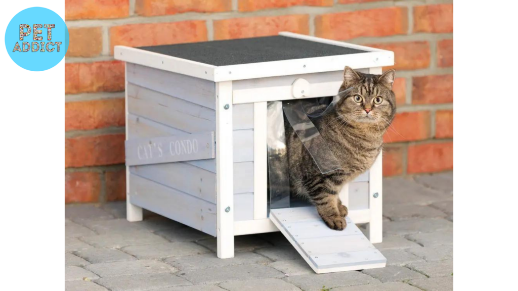 Selecting the Perfect Heated Cat House