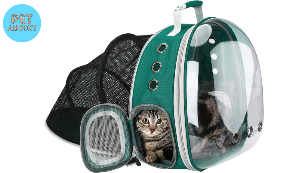 Soft-Sided Cat Backpack