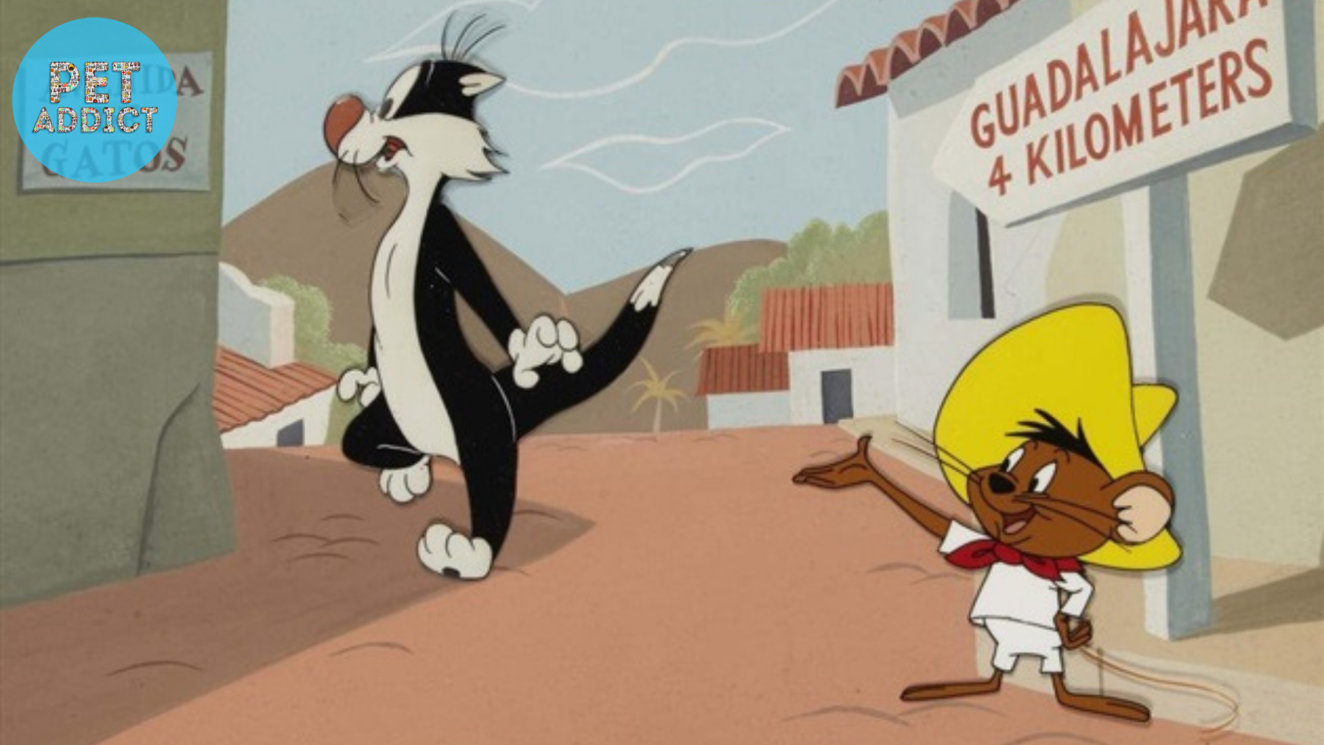 Sylvester and Speedy Gonzales sylvester the cat
