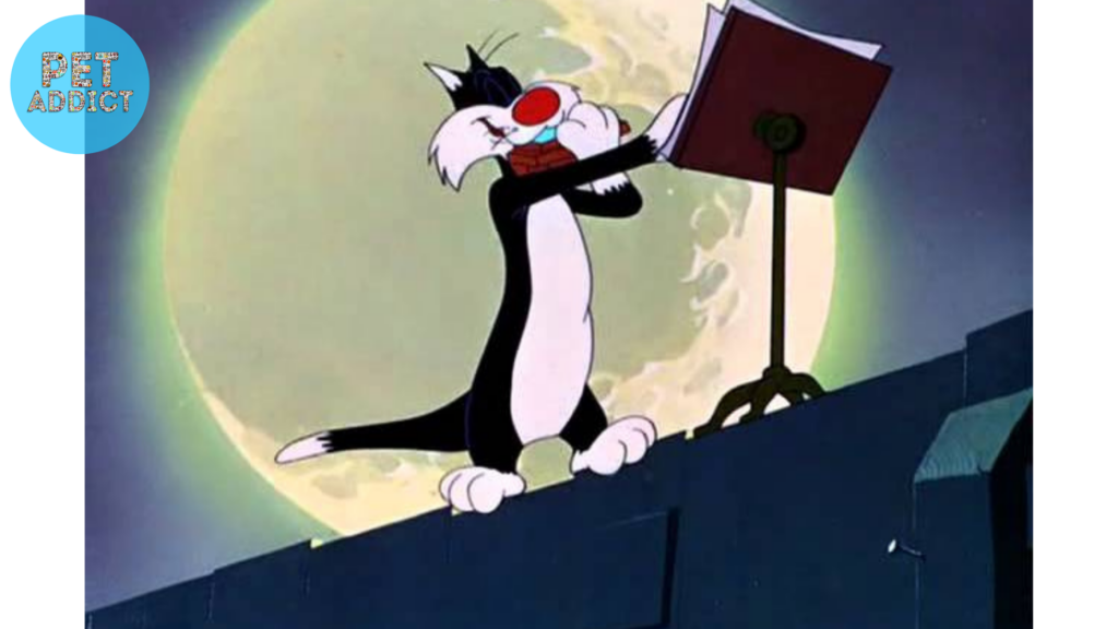 The Birth of a Feline Star sylvester the cat
